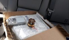 Convertido, traficante procura a Polícia com Bíblia na mão